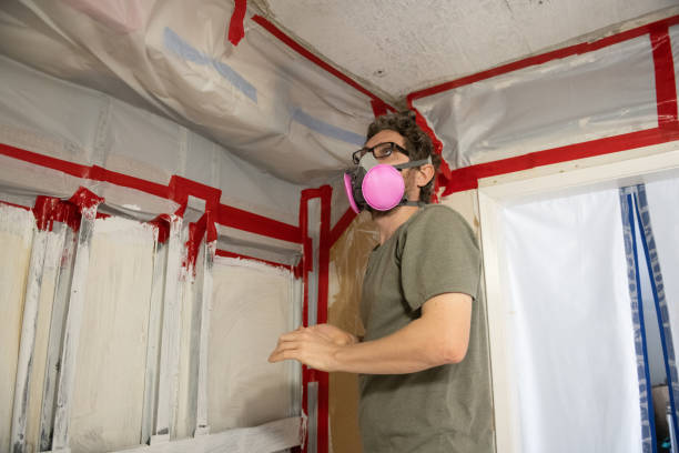 Walnut Ridge, AR Mold Removal Company